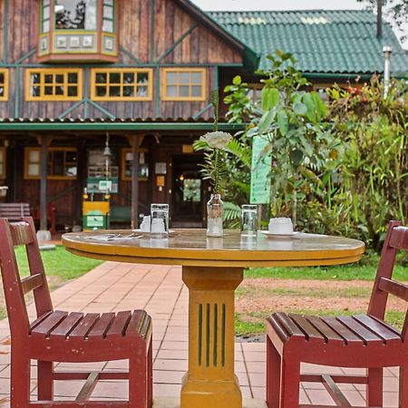 萨查塔米亚山林小屋 明多 外观 照片